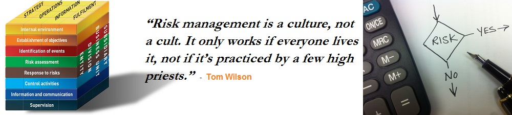 Enterprise Risk Management